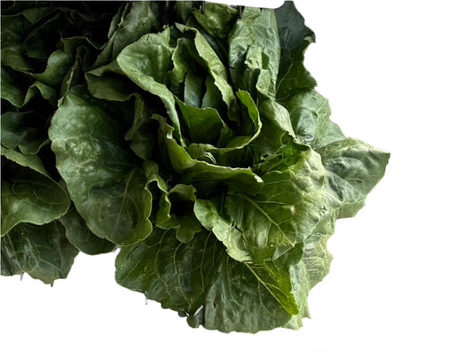 Romaine Lettuce